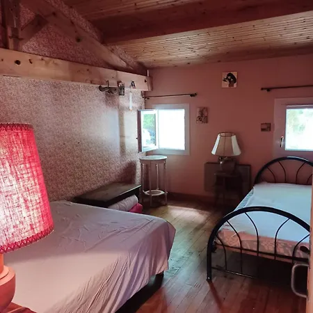 Villa Sur Grand Jardin Arbore Proche De La