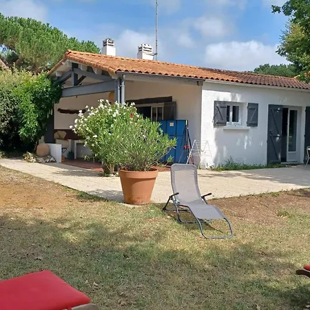 Sur Grand Jardin Arbore Proche De La