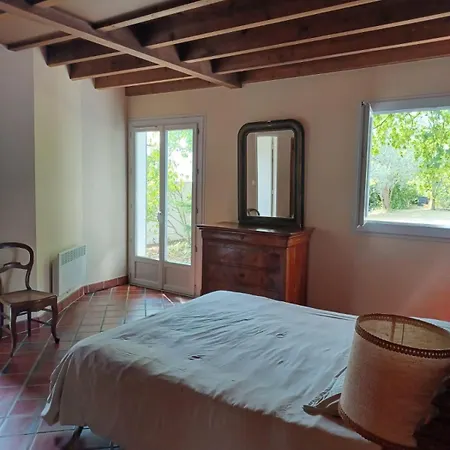 Sur Grand Jardin Arbore Proche De La Villa Saint-Palais-sur-Mer