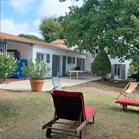 Sur Grand Jardin Arbore Proche De La Villa